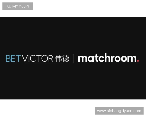 伟德betvictor官网入口安全保障措施及账号保护技巧，确保玩家个人信息与资金安全