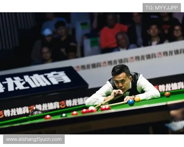 尊龙体育进口用户评价与反馈汇总帮助新用户了解真实使用体验与服务质量