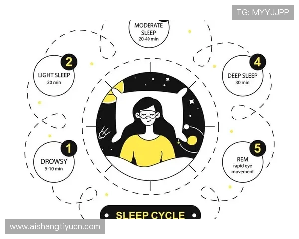 探索完美的网址设计理念，提升网站访问效率与用户满意度的关键策略