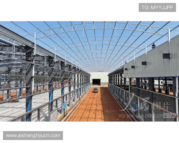 完整的博鱼官网下载流程及常见问题解决方案详解