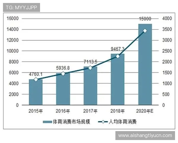 赛博体育：虚拟体育行业的政策环境与法规合规性分析